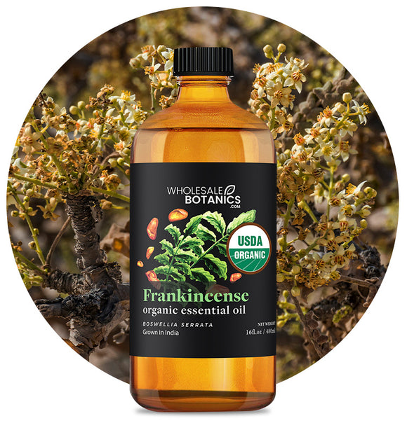Organic Frankincense Essential Oil