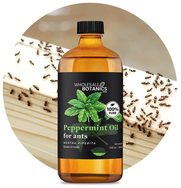 Peppermint Oil for Ants