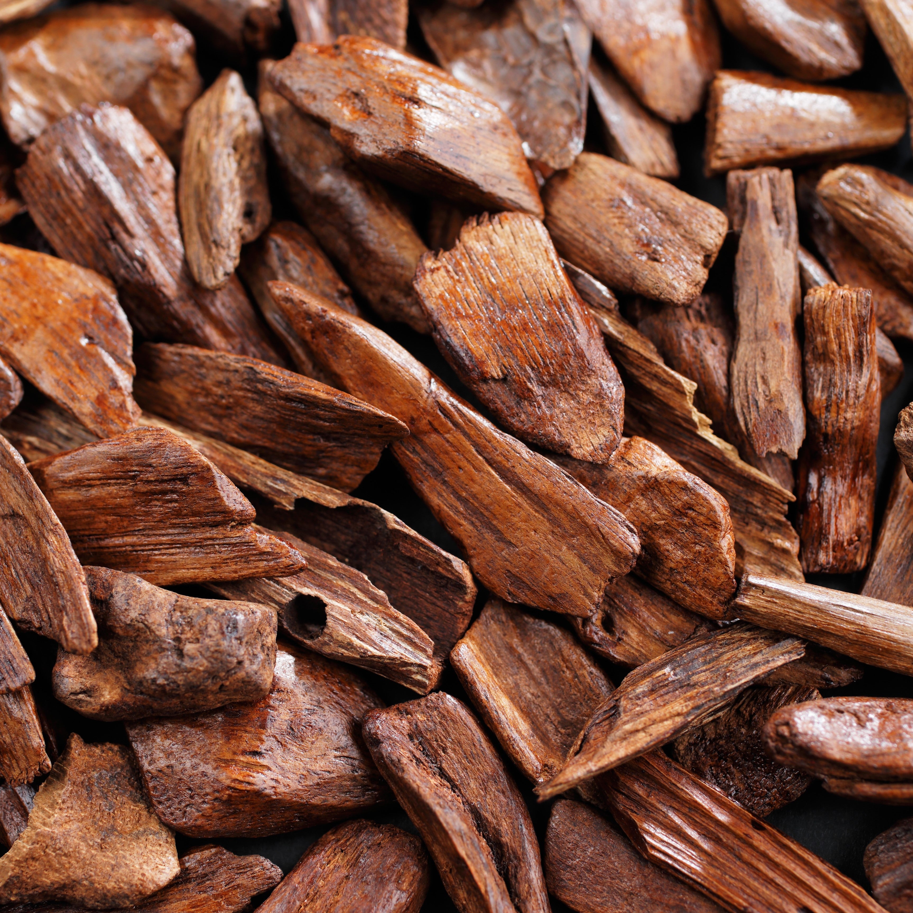 Sandalwood Essential Oil - Botanical, Purity