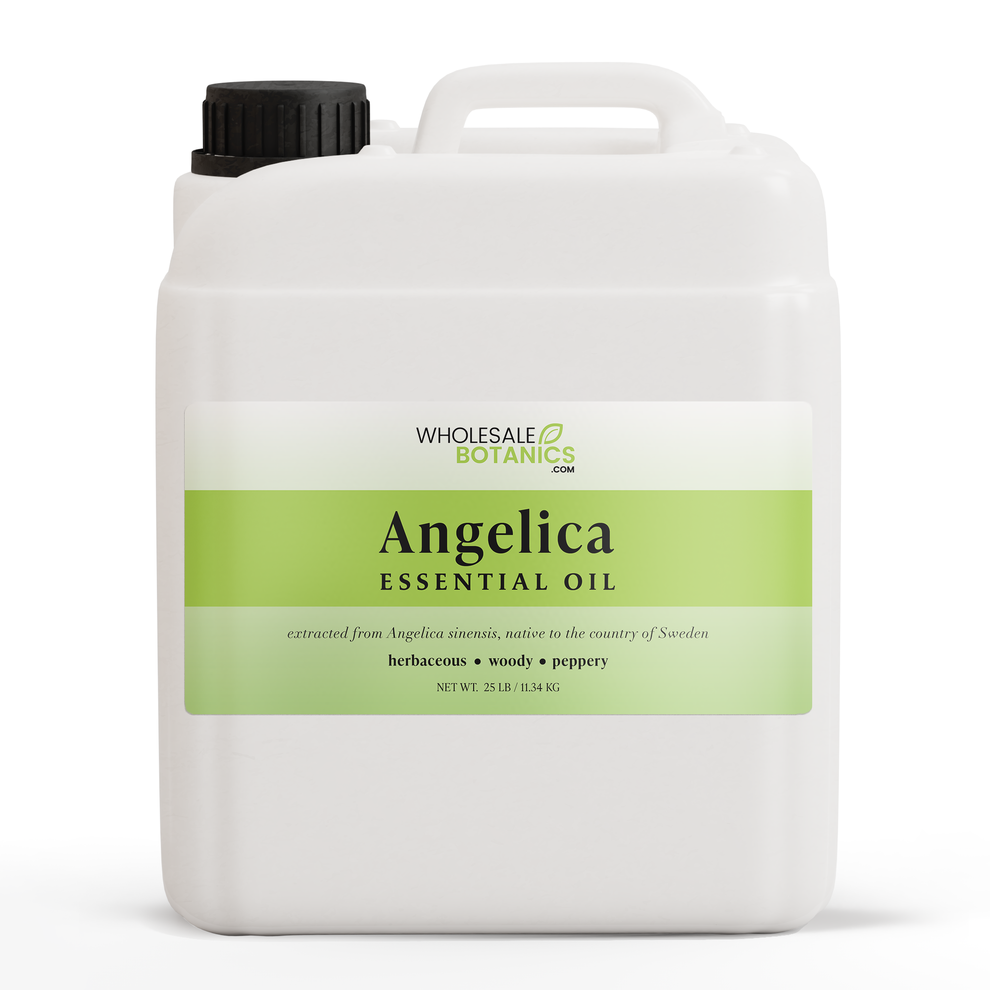 Angelica Essential Oil