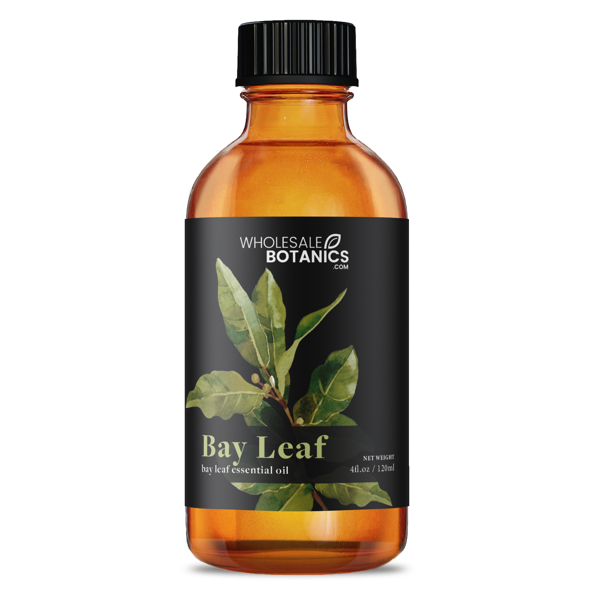 Bay Leaf Essential Oil