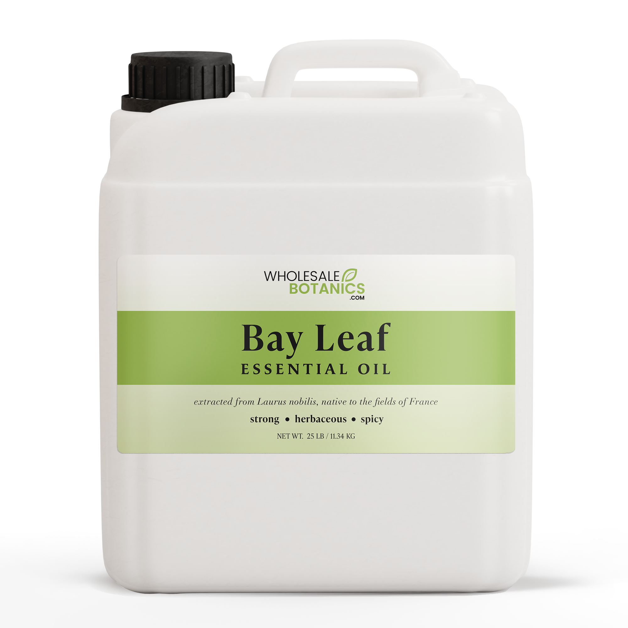 Bay Leaf Essential Oil
