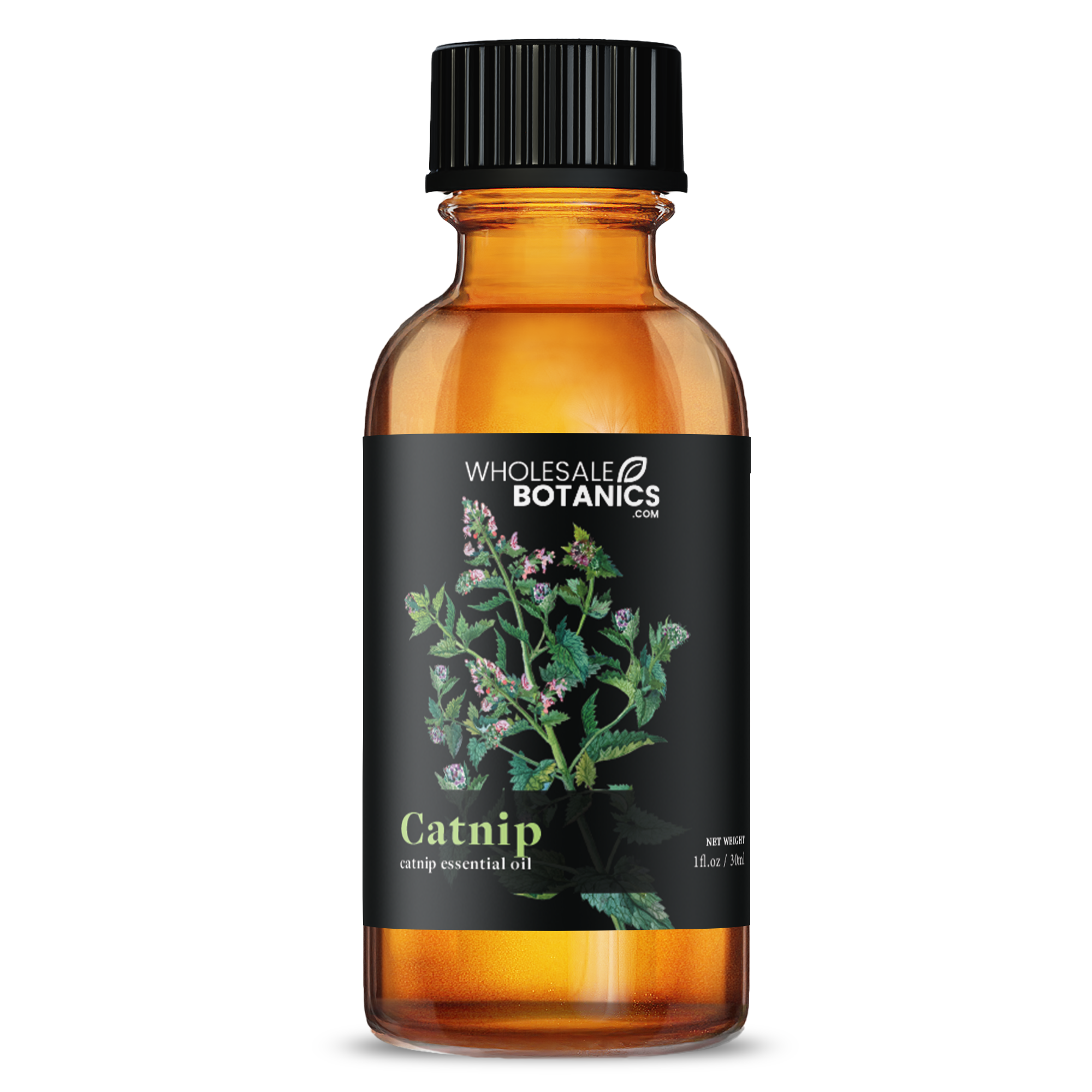 Catnip Essential Oil