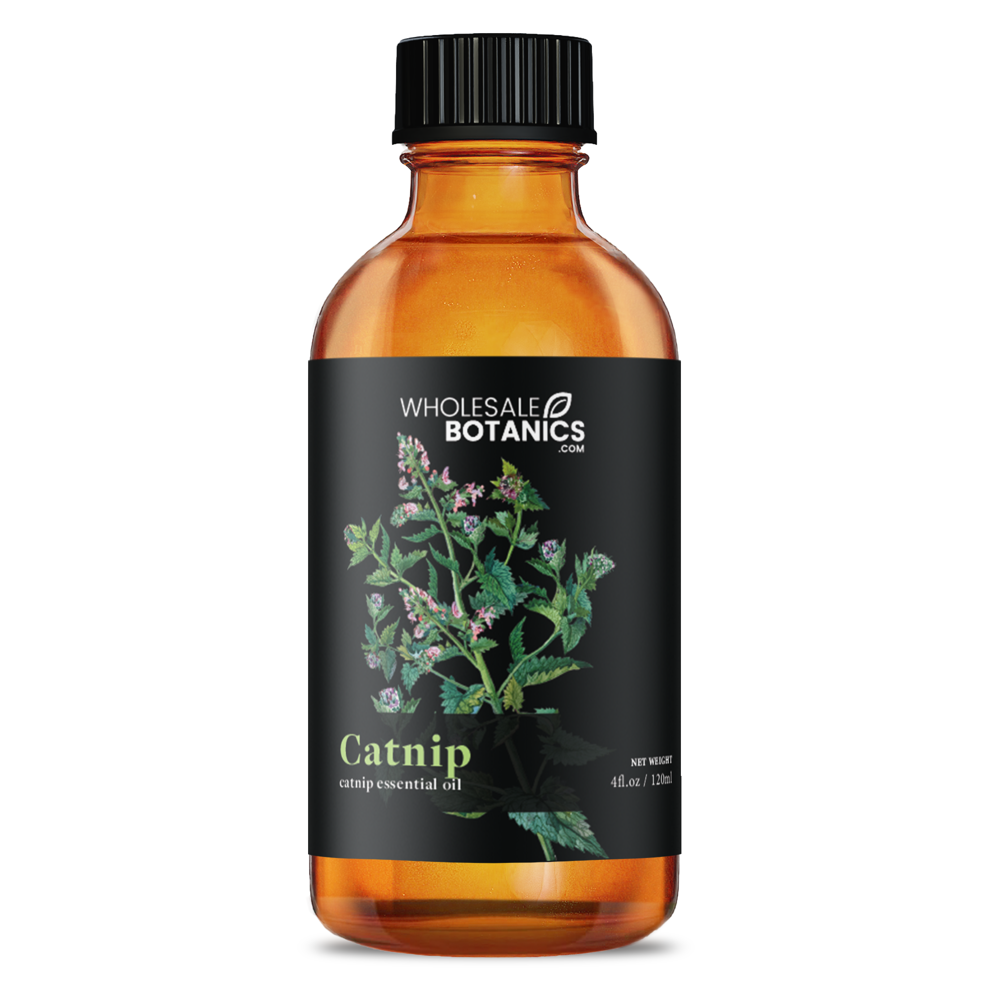 Catnip Essential Oil