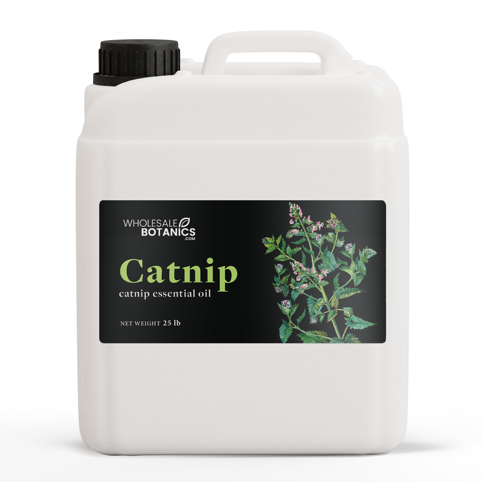 Catnip Essential Oil