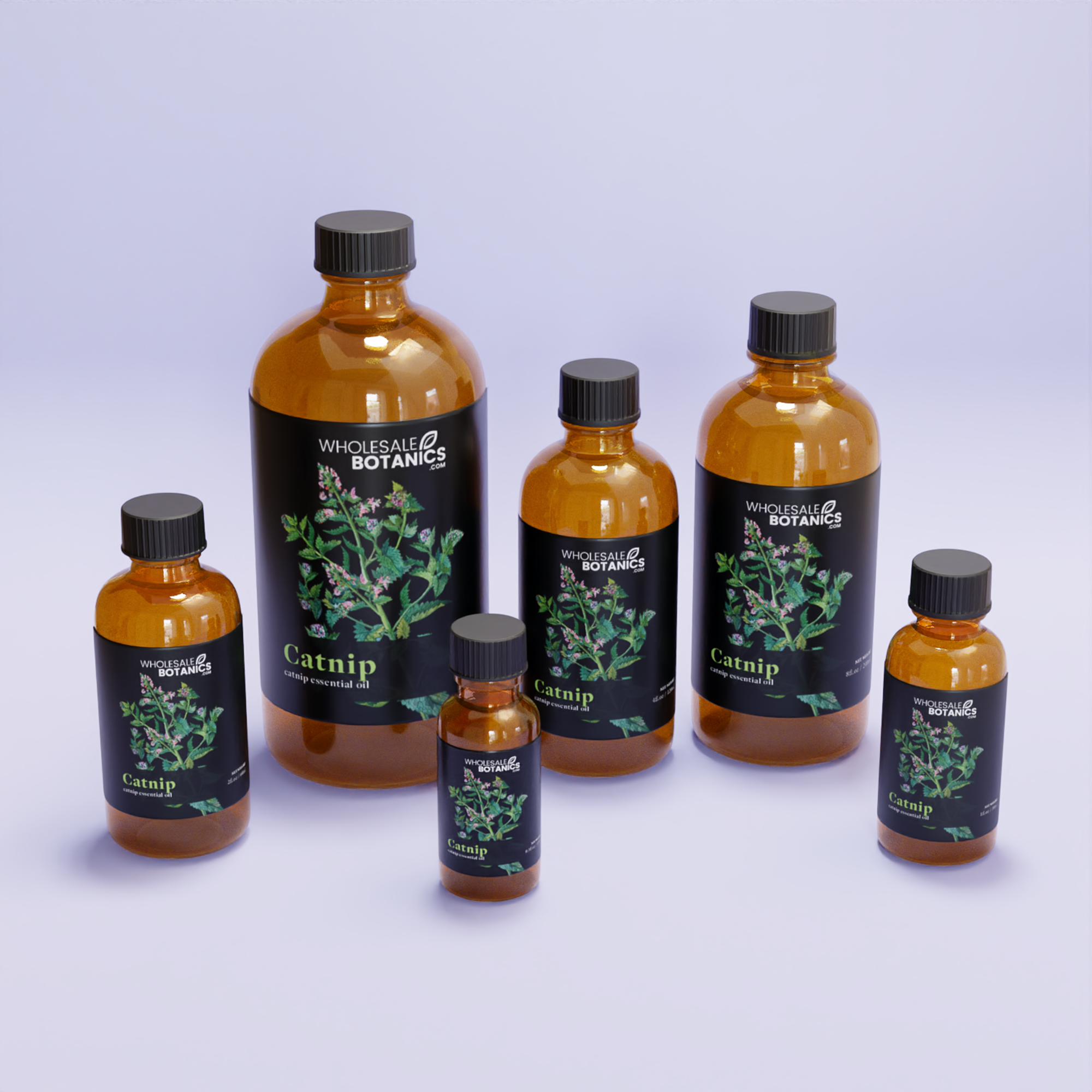 Catnip Essential Oil