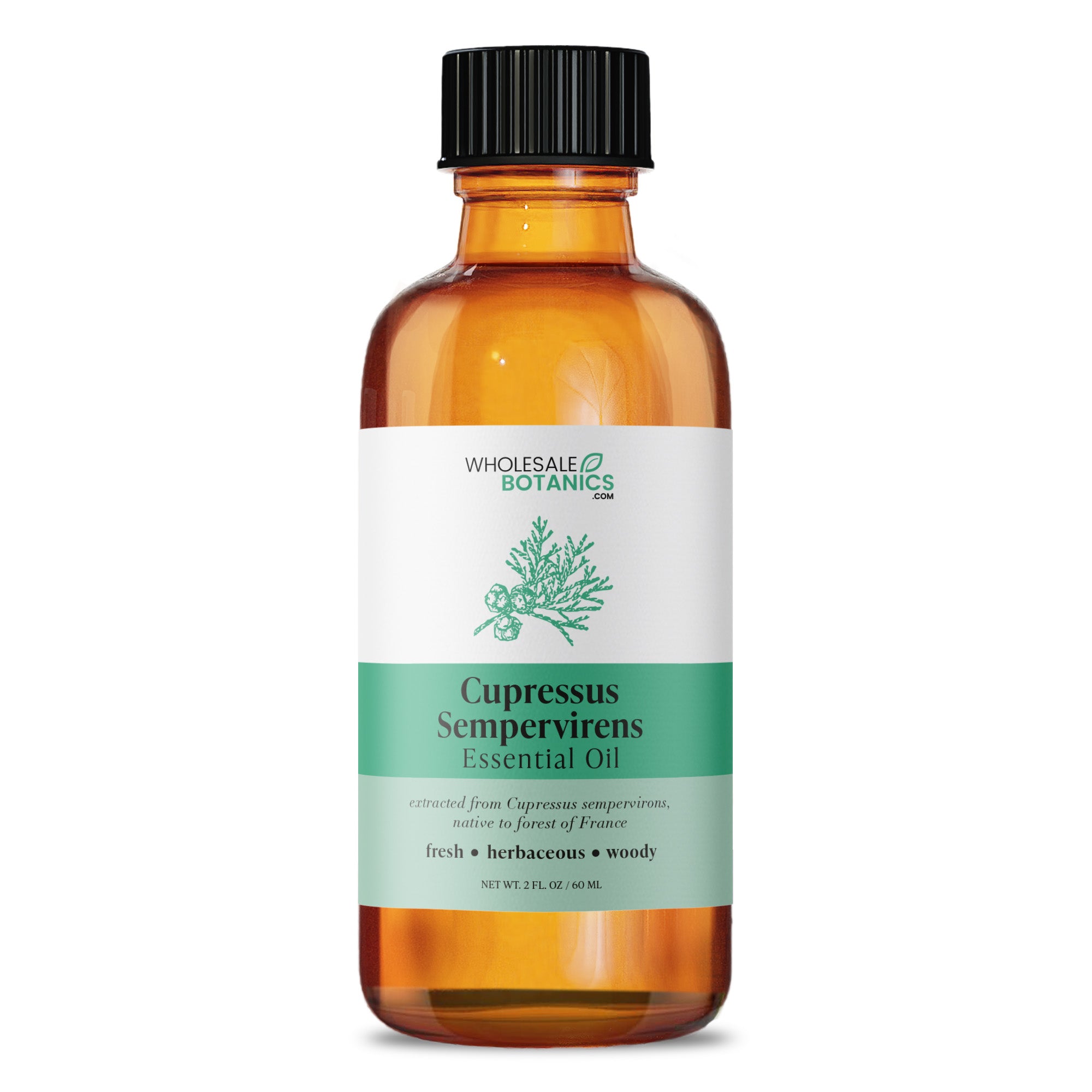 Cupressus Sempervirens Essential Oil