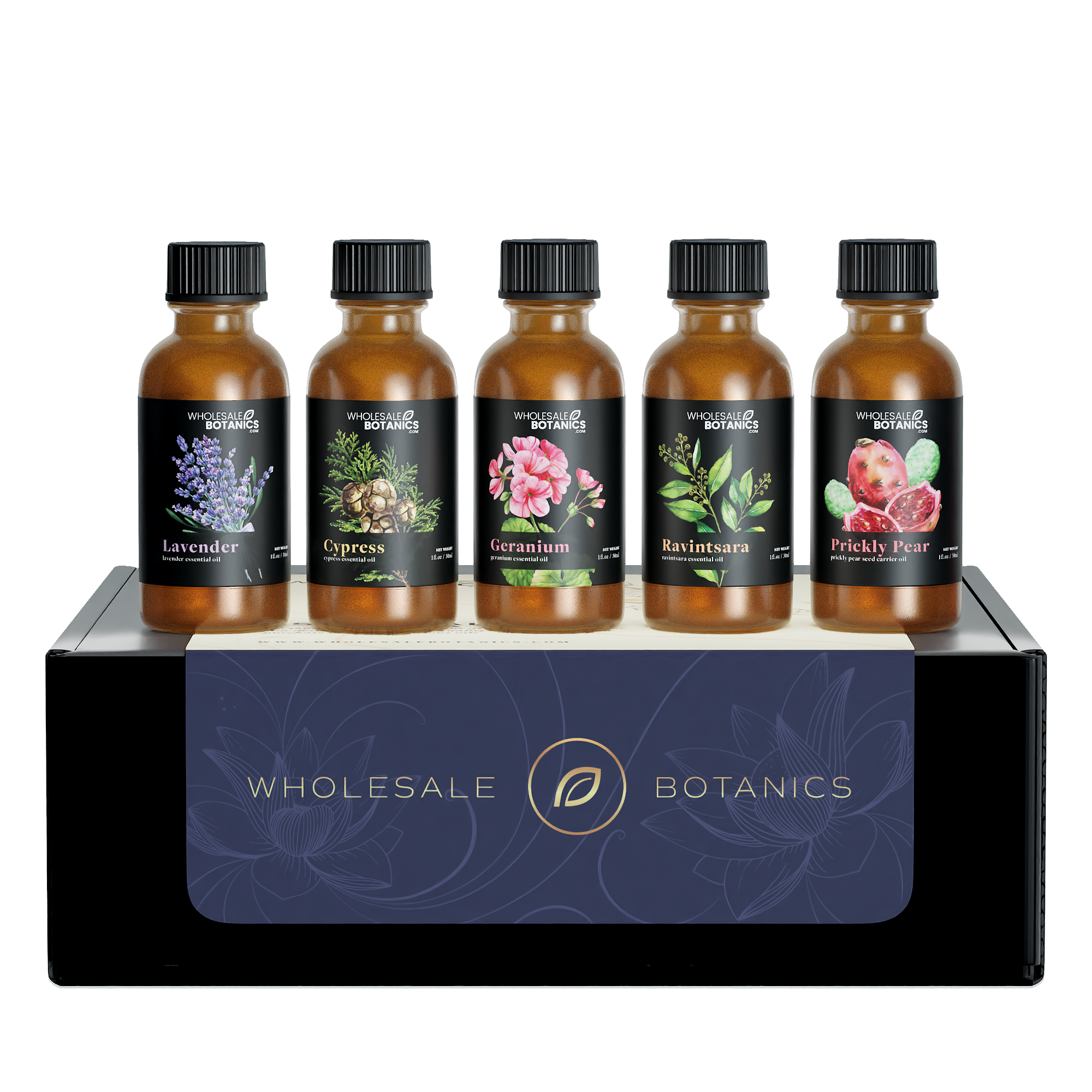 Bulk Essential Oils Wholesale Sample Kit