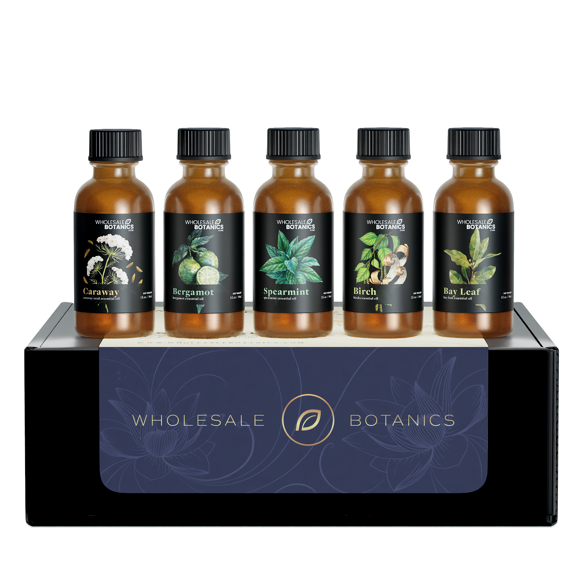 Bulk Essential Oils Wholesale Sample Kit
