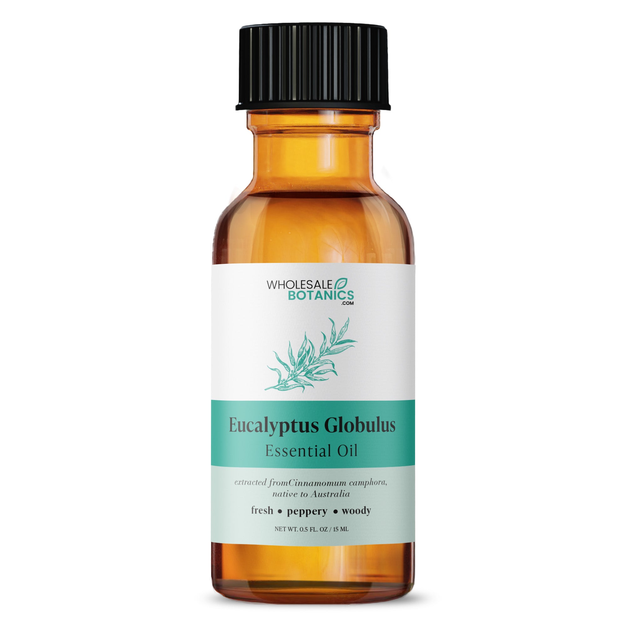 Eucalyptus Globulus Essential Oil