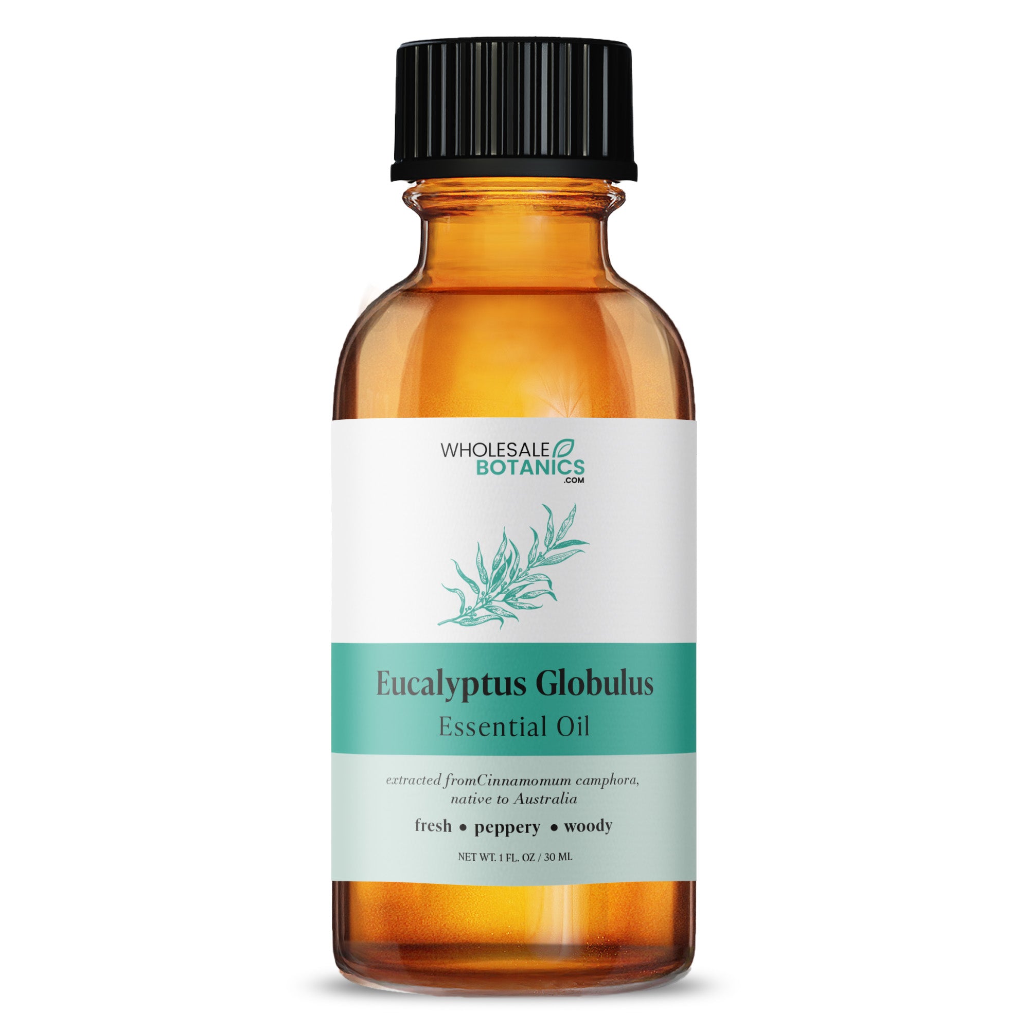 Eucalyptus Globulus Essential Oil