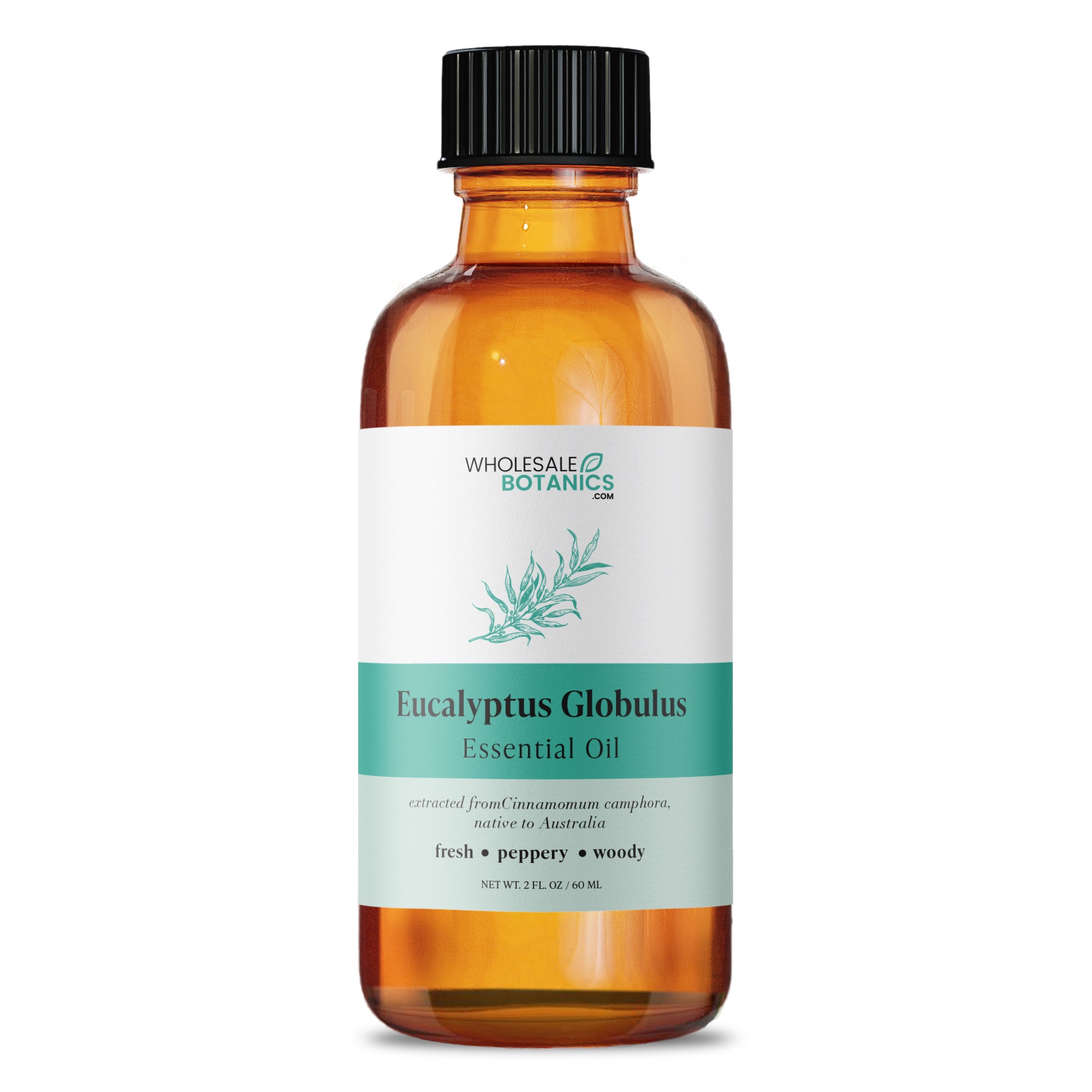 Eucalyptus Globulus Essential Oil
