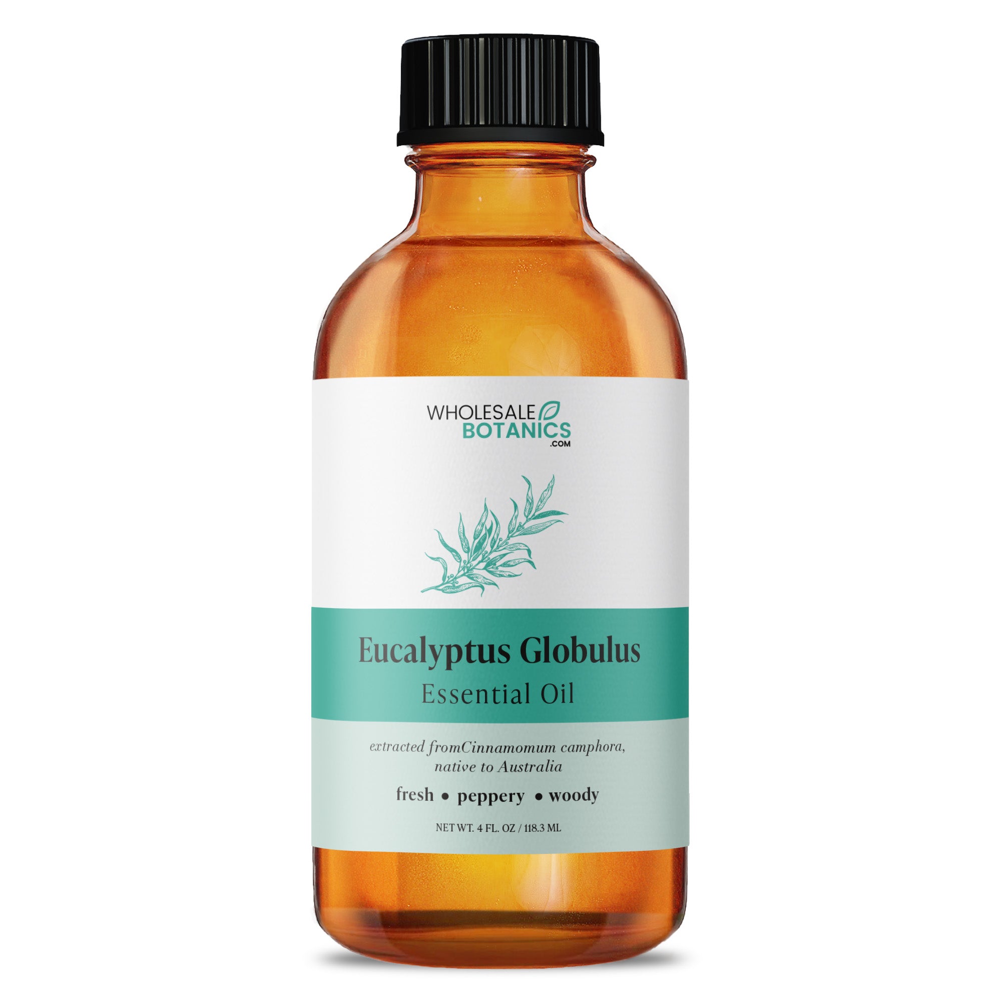 Eucalyptus Globulus Essential Oil