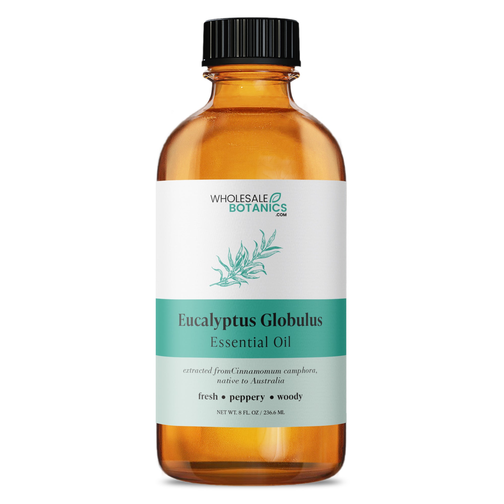 Eucalyptus Globulus Essential Oil