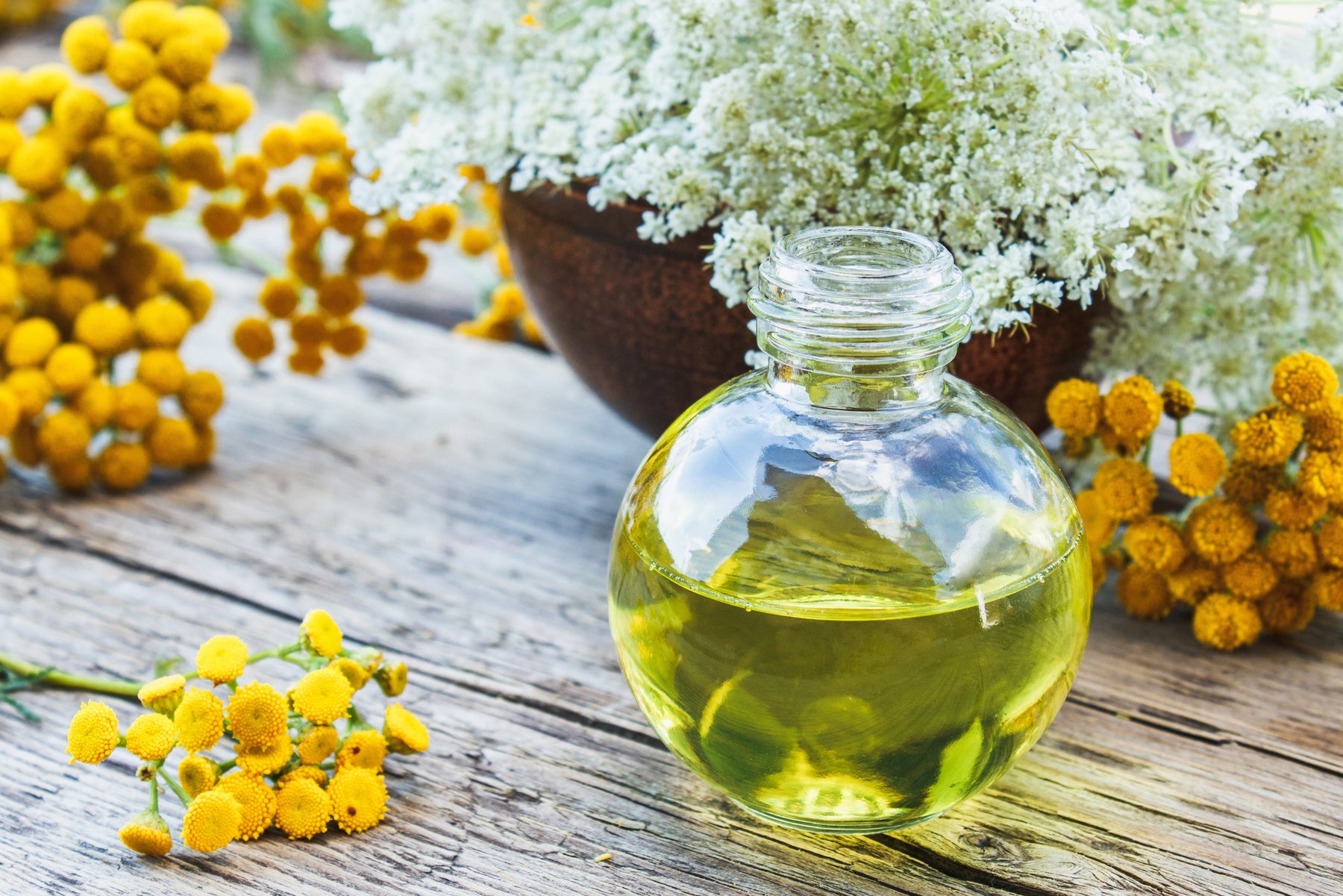 Helichrysum oil in front of bunches of yellow flowers. 