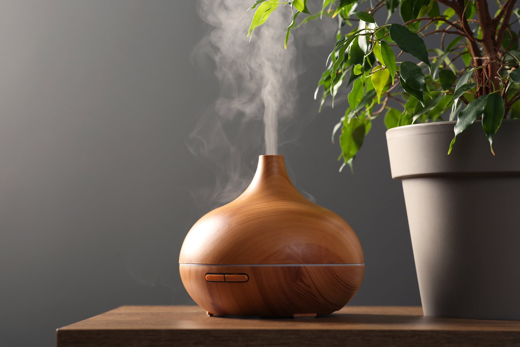 Oil diffuser with thieves essential oil next to plant. 