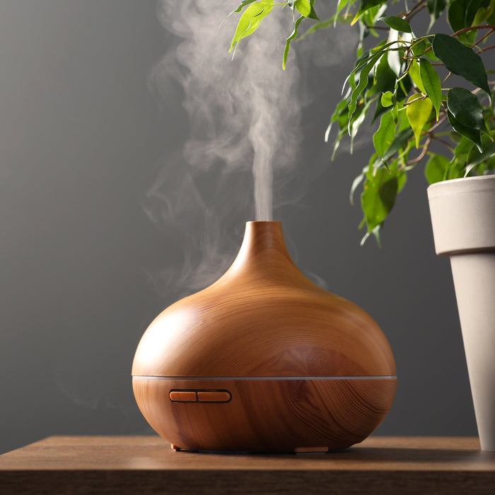 Oil diffuser with thieves essential oil next to plant. 