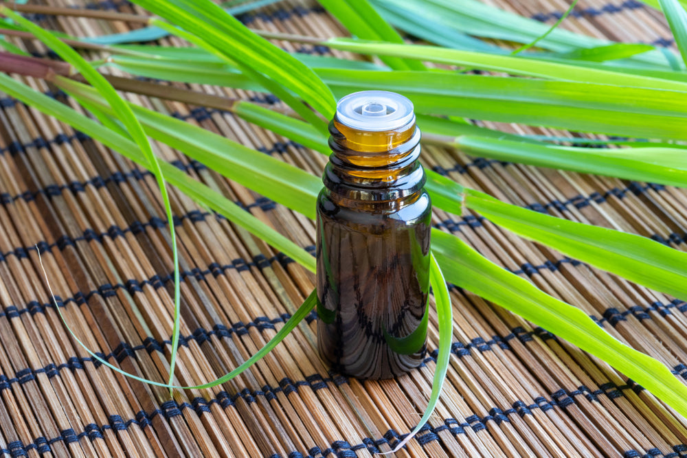 A bottle of essential oil with fresh lemon grass on a table