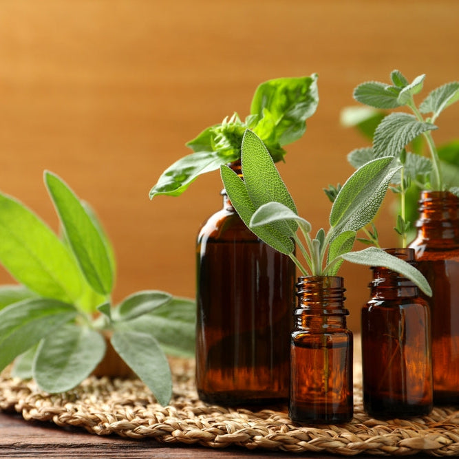 Bottles of essential oils and fresh herbs on wooden table,