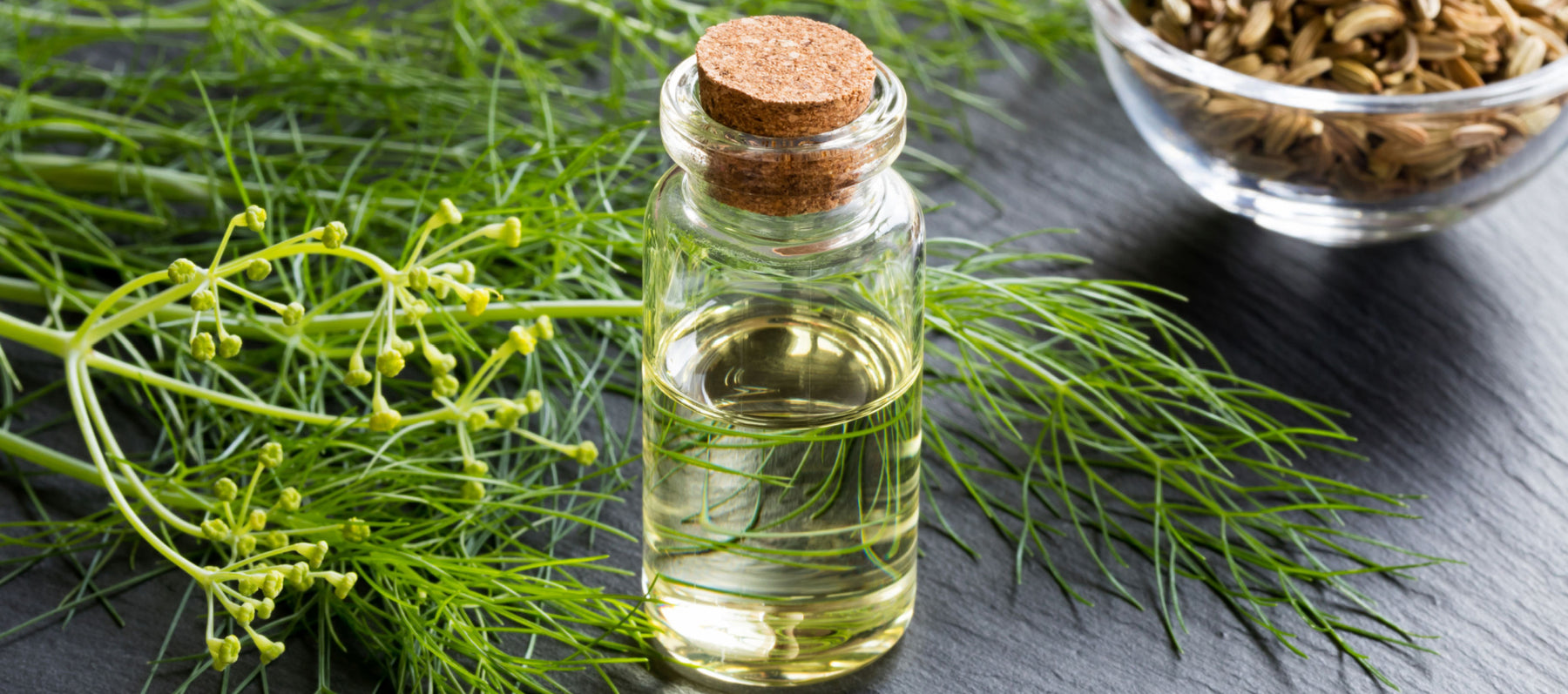 essential oil bottle with fennel and fennel seeds