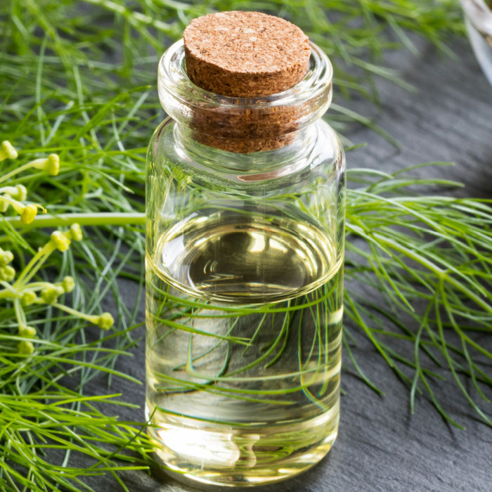essential oil bottle with fennel and fennel seeds