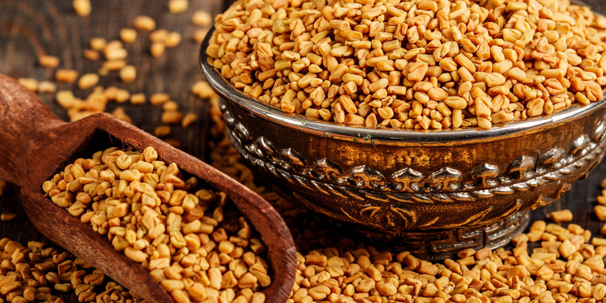 Fenugreek Oil Benefits and Uses Exploring Its Versatility