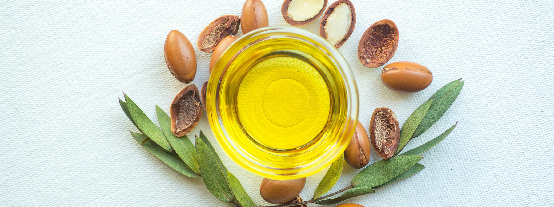argan oil surrounded by argan seeds