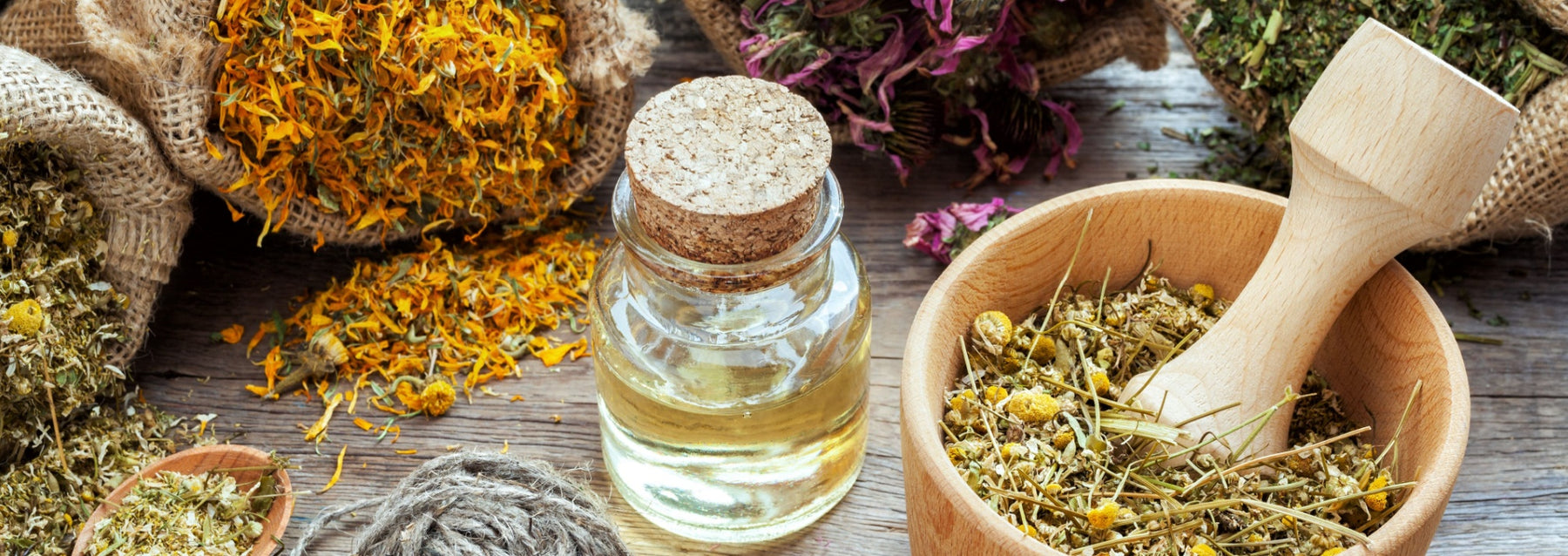 essential oil in bottle surrounded by herbs and tools to make essential oils