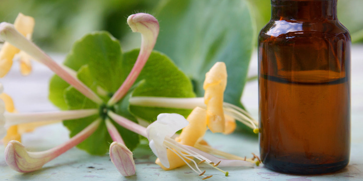 Honeysuckle Essential Oil, Pimple Cleansing Oil, Smoothing Wrinkle, Deeply  Repairing The Moisturizing And Locking In Water, Tightening The  Moisturizing And Revitalizing, Nourishing And Repairing - Temu