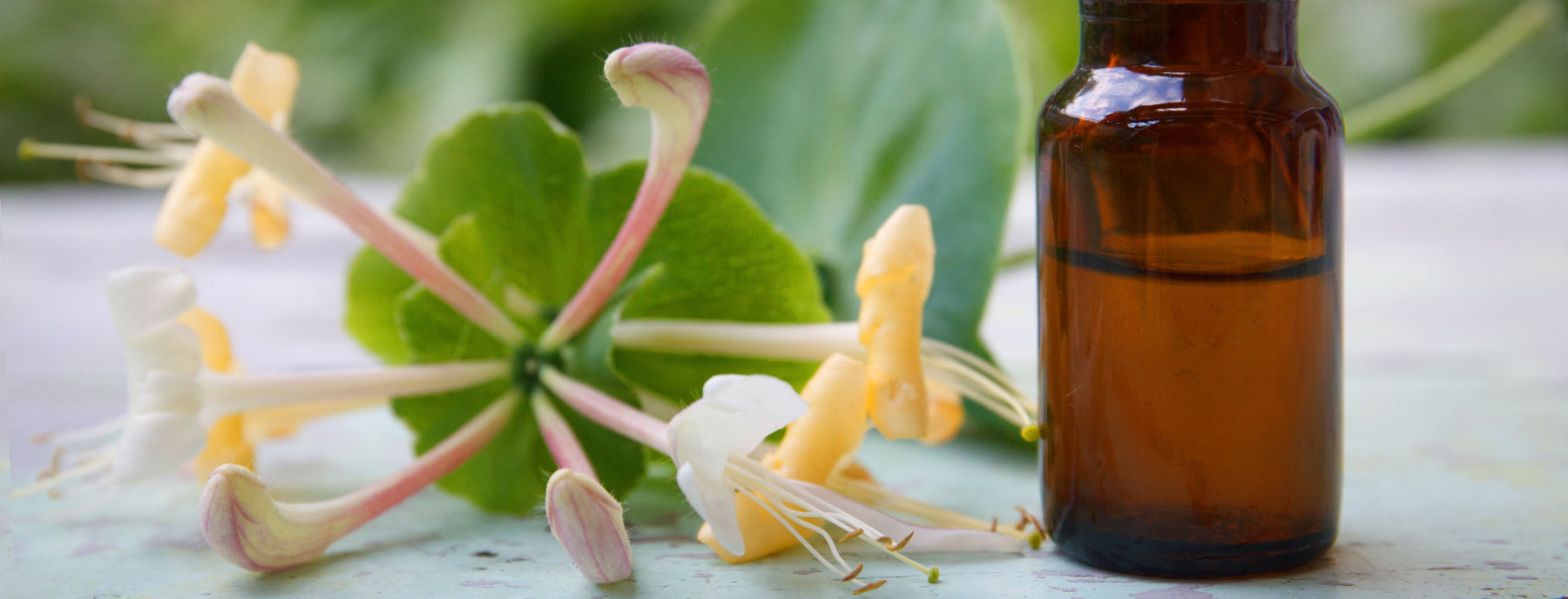 amber bottle with honeysuckle flowers