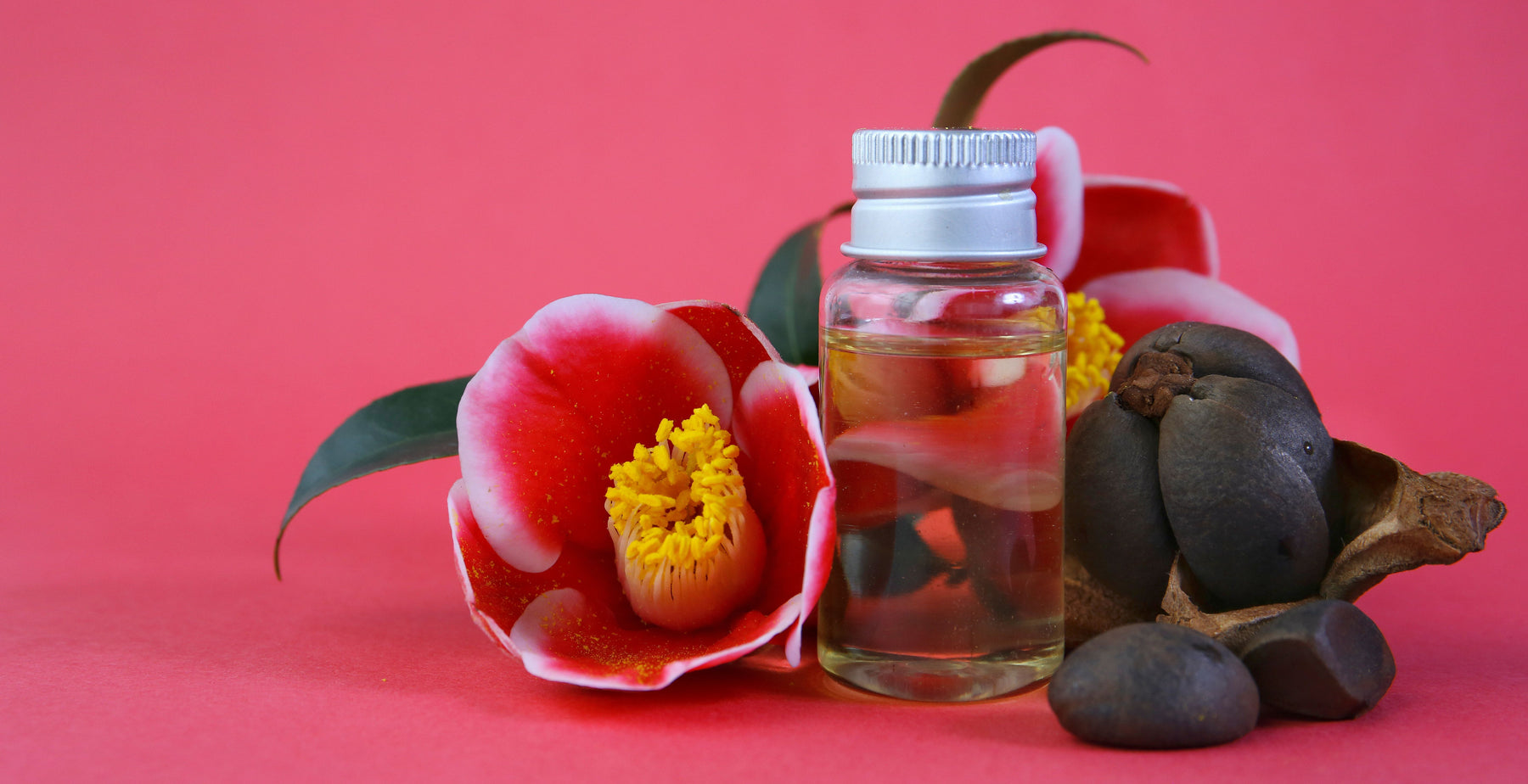 camellia oil in bottle with flowers and red background