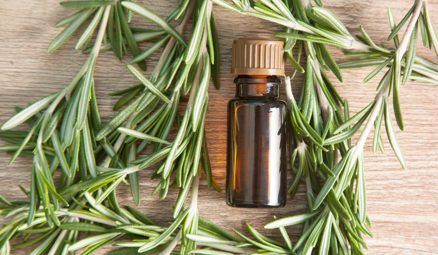 rosemary essential oil bottle surrounded by rosemary stems