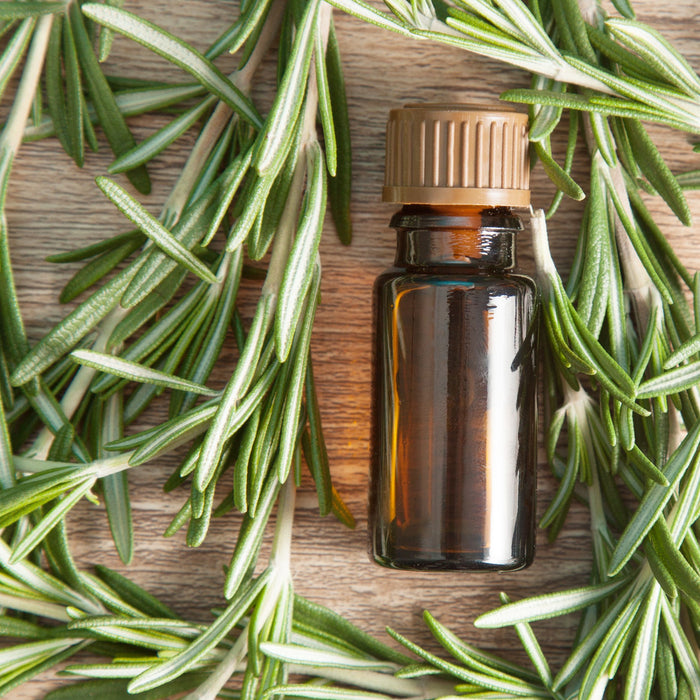 rosemary essential oil bottle surrounded by rosemary stems