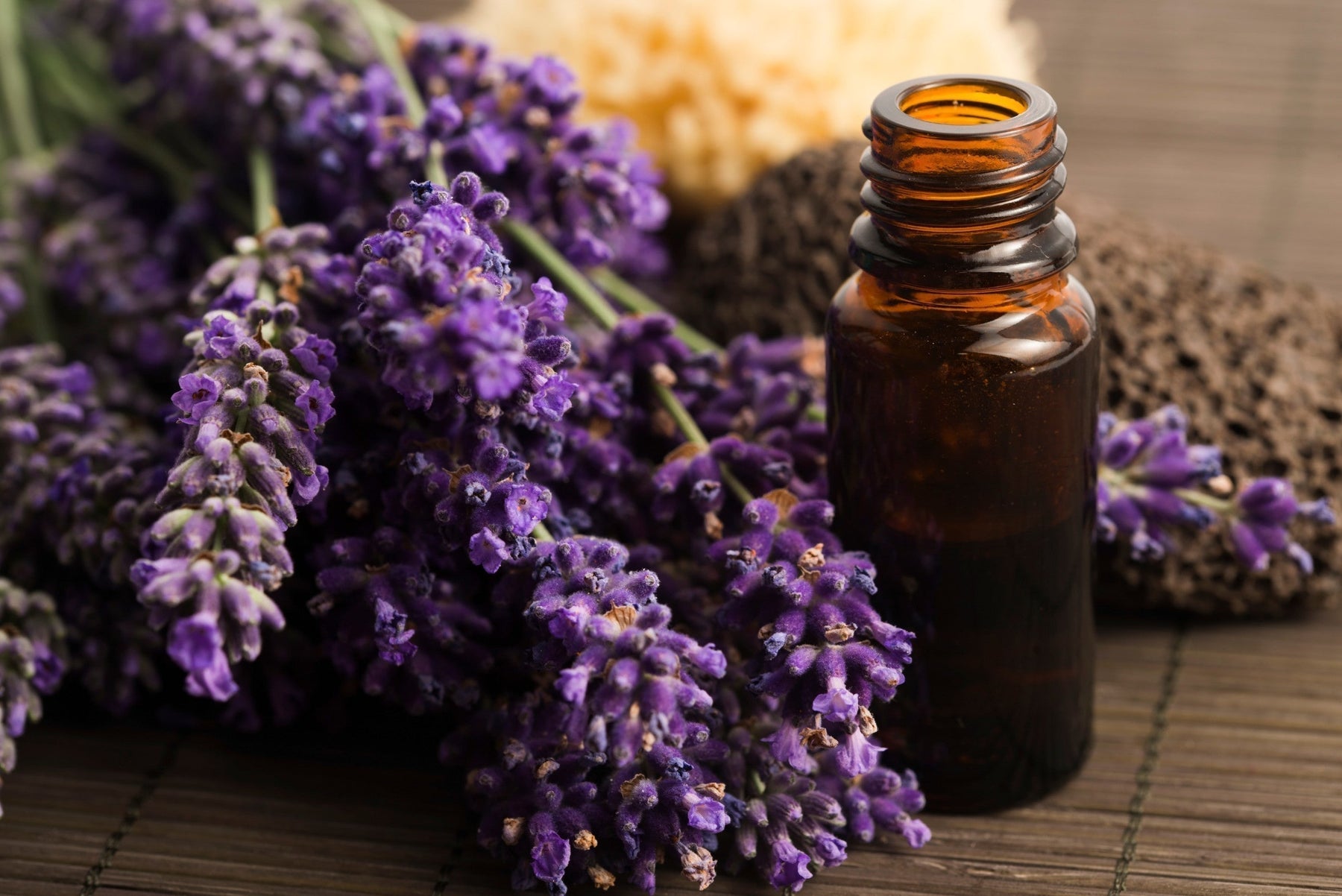 open lavender essential oil bottle next to sprigs of fresh lavender