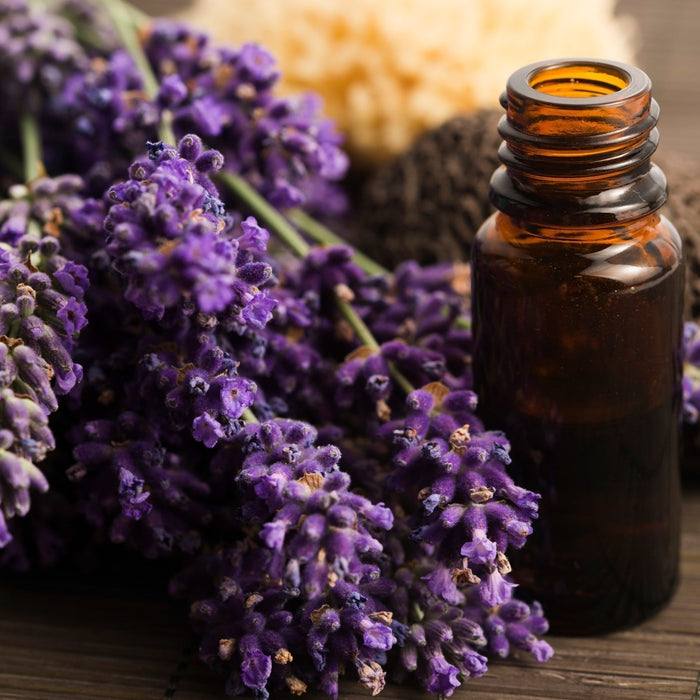 open lavender essential oil bottle next to sprigs of fresh lavender