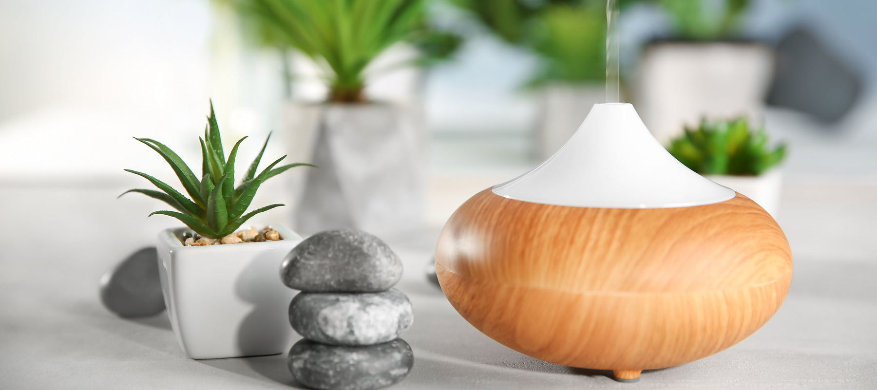 diffuser next to rocks and plants