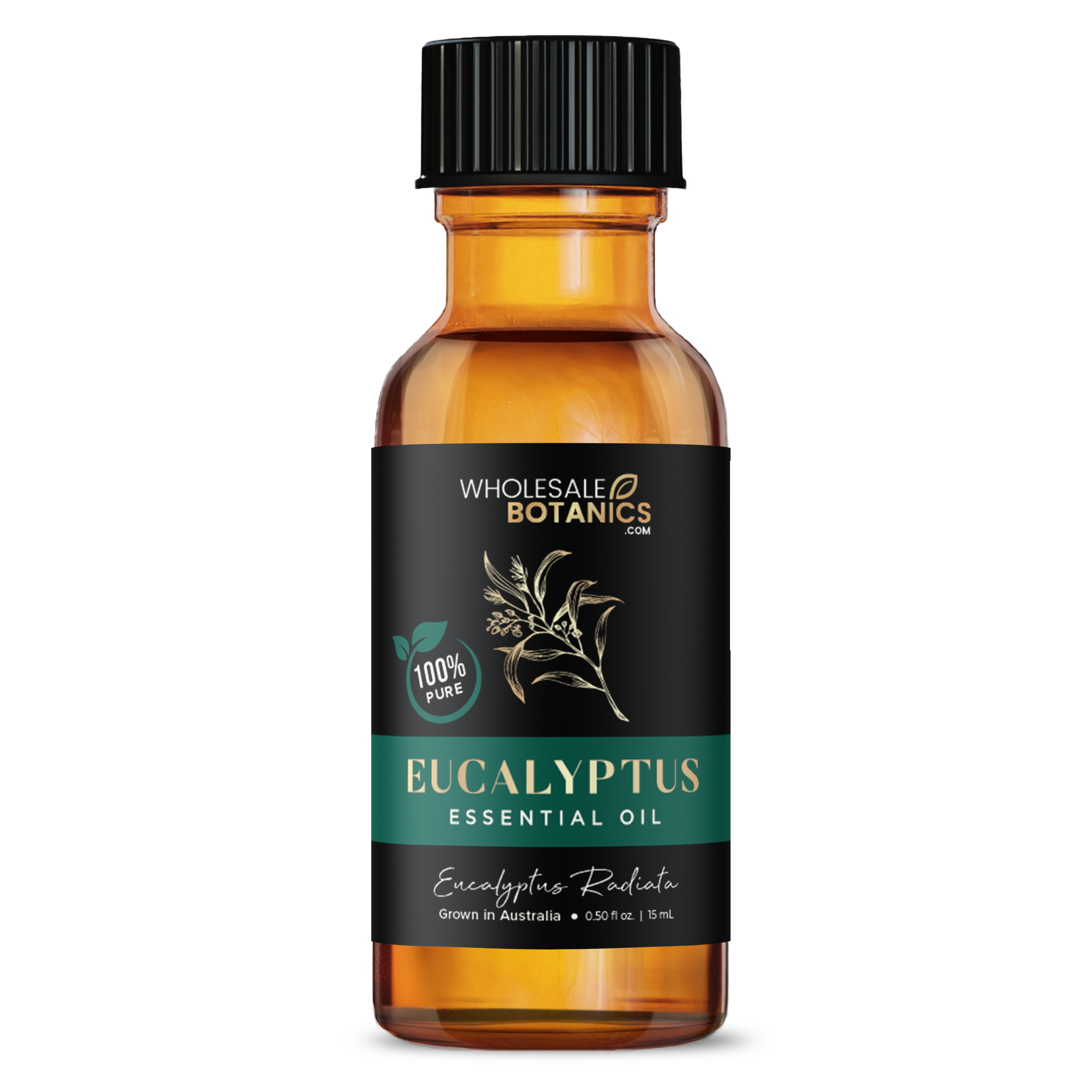 Eucalyptus Essential Oil - Australia - Eucalyptus Radiata - 0.5 oz