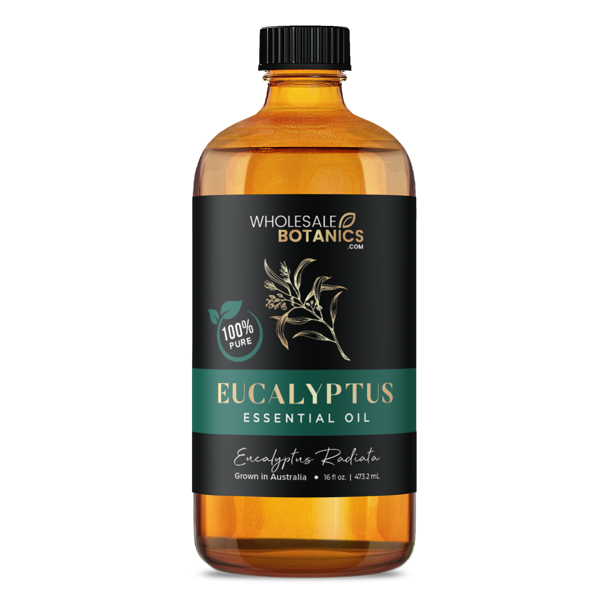 Eucalyptus Essential Oil - Australia - Eucalyptus Radiata - 16 oz