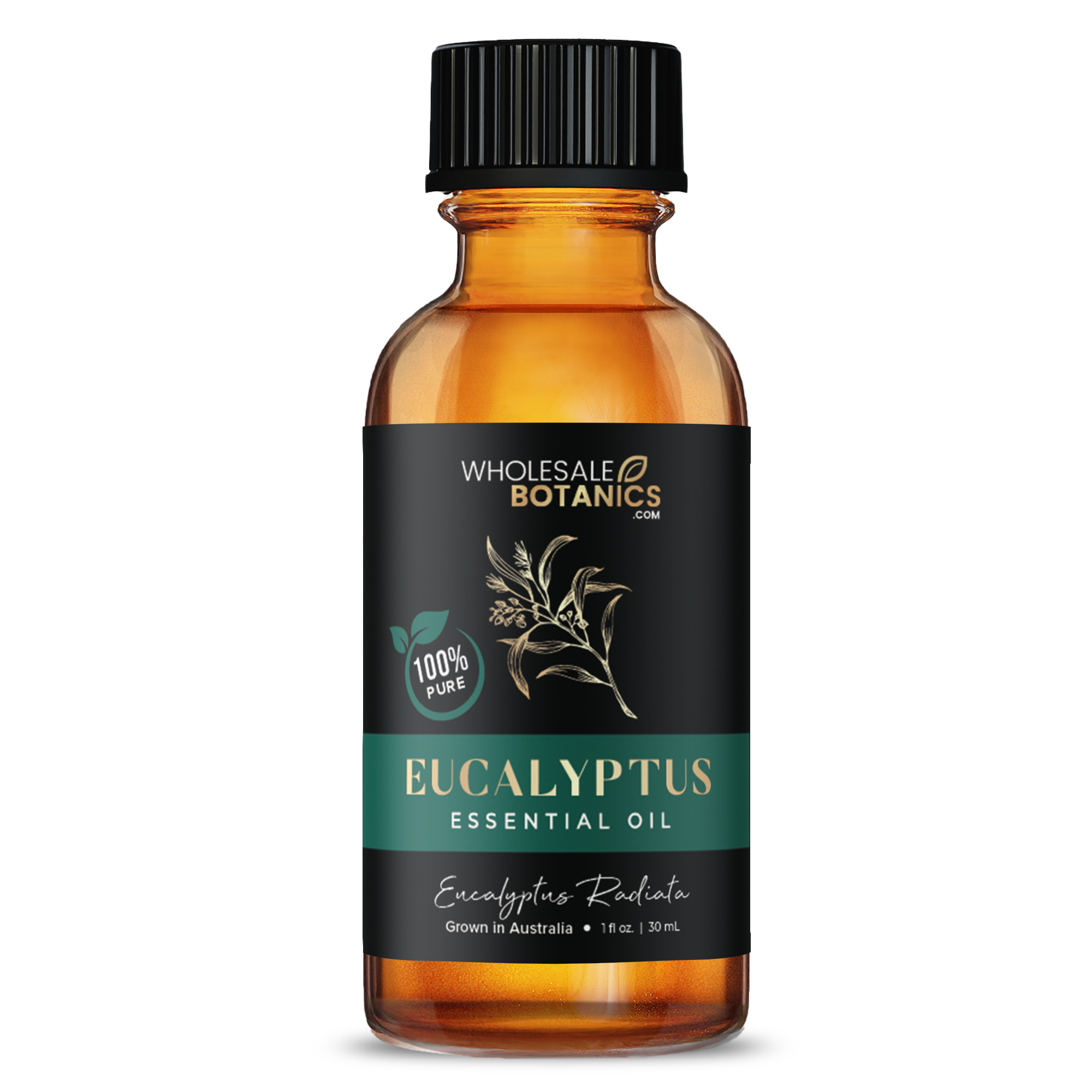 Eucalyptus Essential Oil - Australia - Eucalyptus Radiata - 0.5 oz