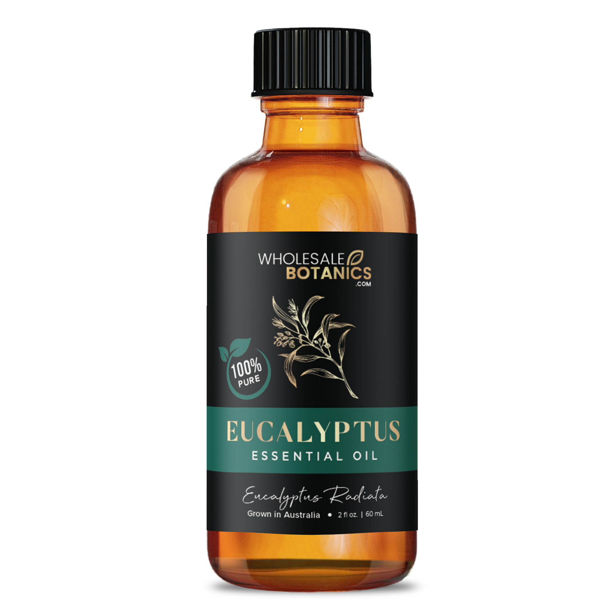 Eucalyptus Essential Oil - Australia - Eucalyptus Radiata - 2 oz