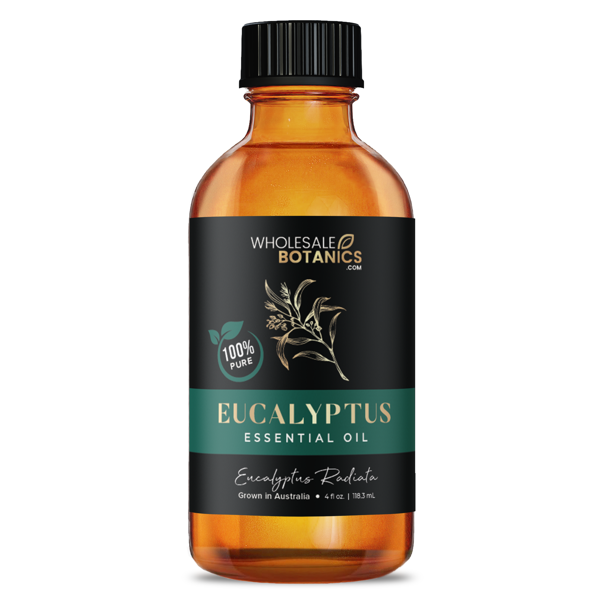 Eucalyptus Essential Oil - Australia - Eucalyptus Radiata - 4 oz