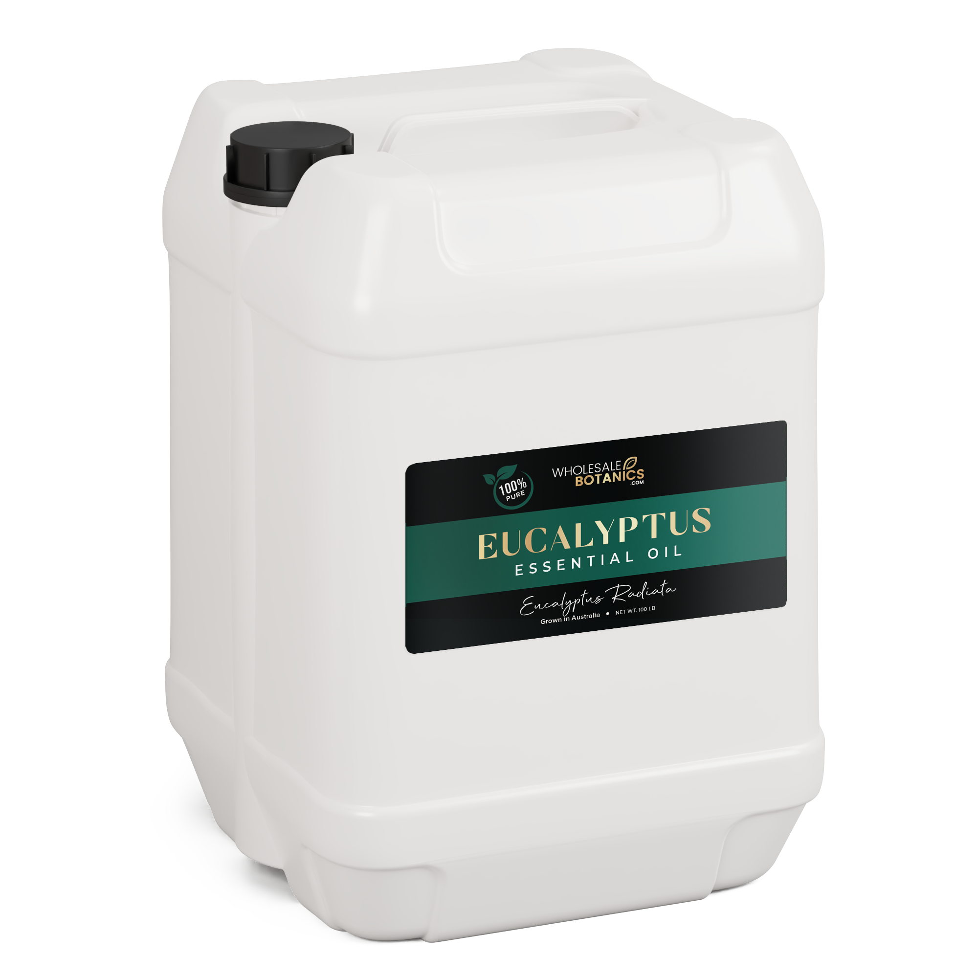 Eucalyptus Essential Oil - Australia - Eucalyptus Radiata - 100 lb