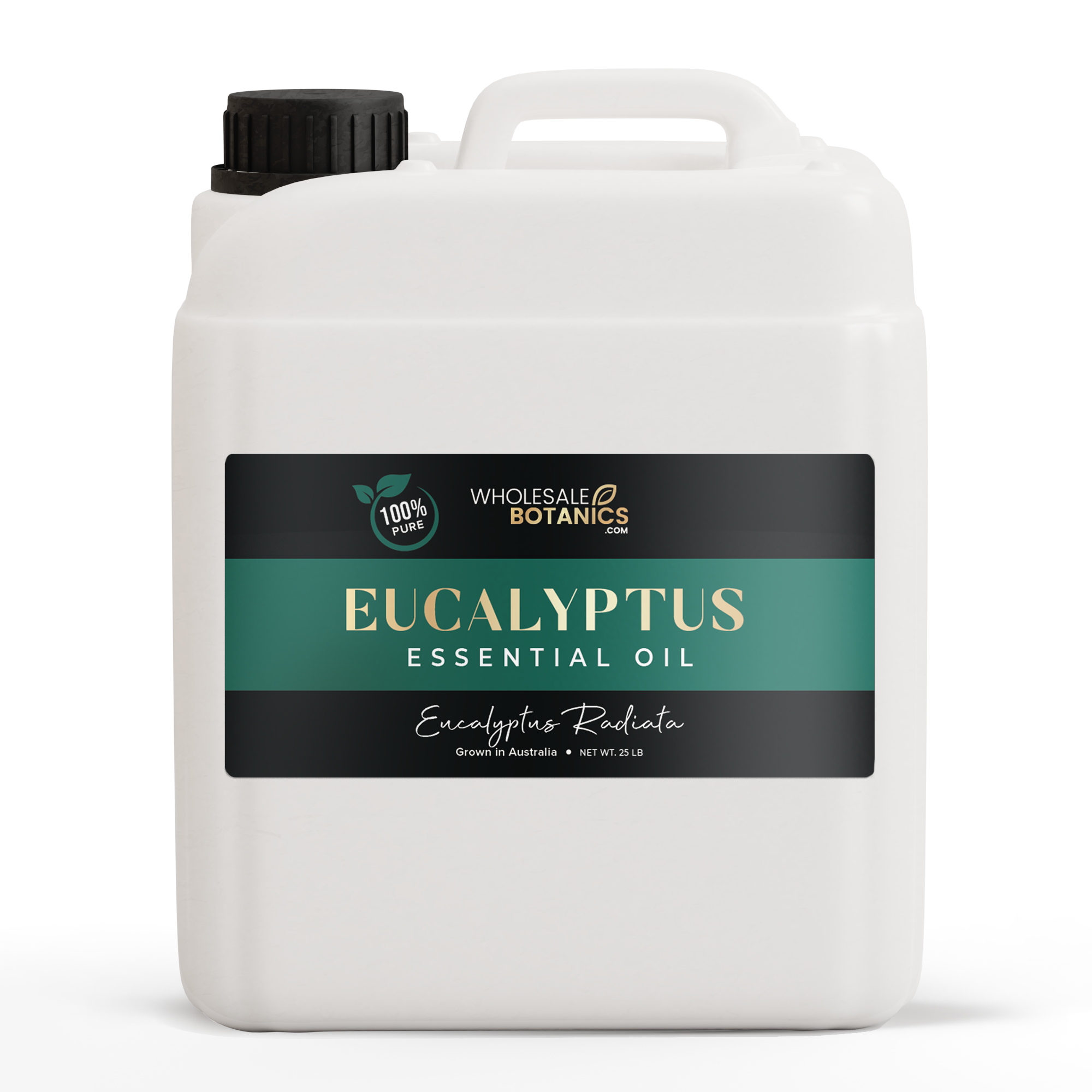 Eucalyptus Essential Oil - Australia - Eucalyptus Radiata - 25 lb