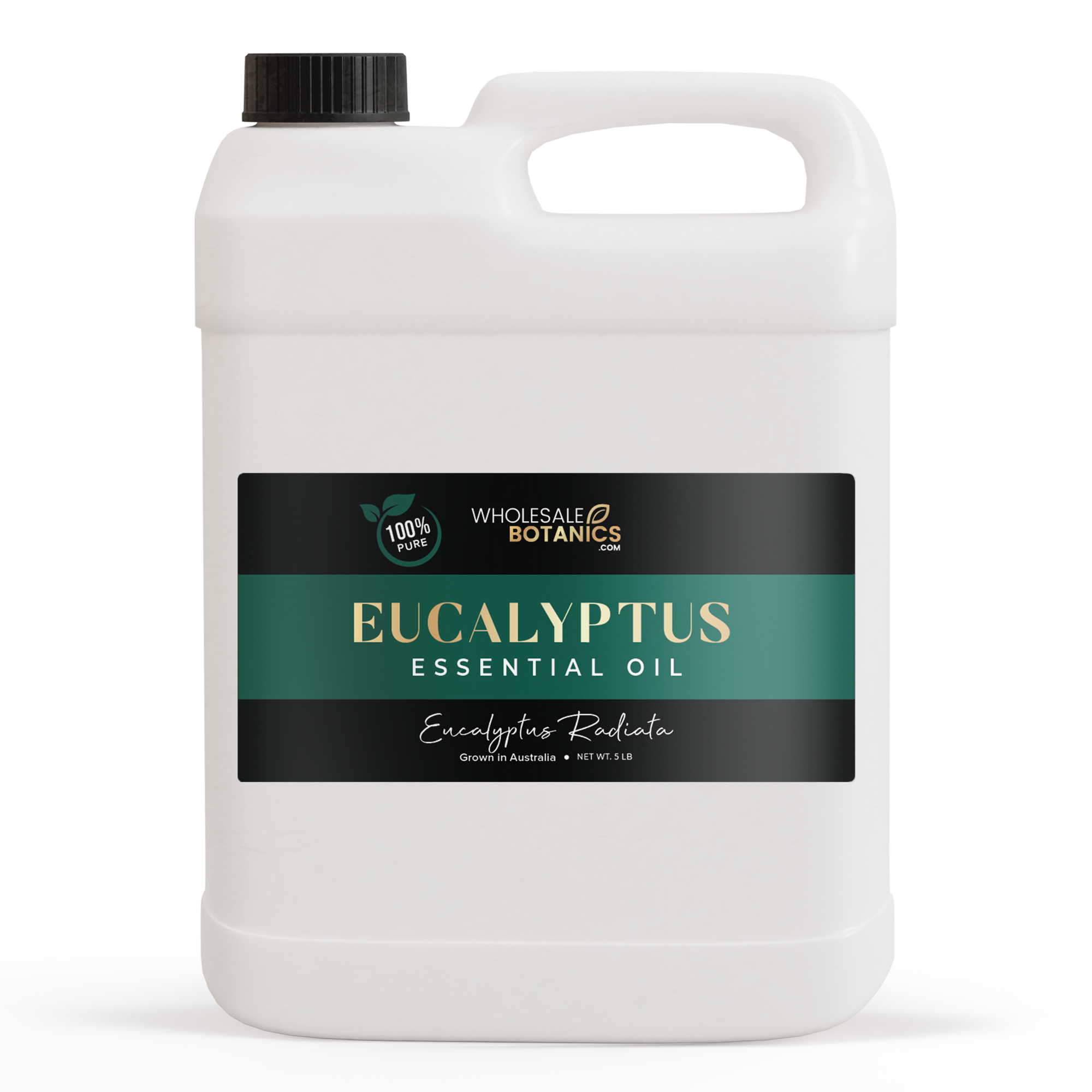 Eucalyptus Essential Oil - Australia - Eucalyptus Radiata - 5 lb