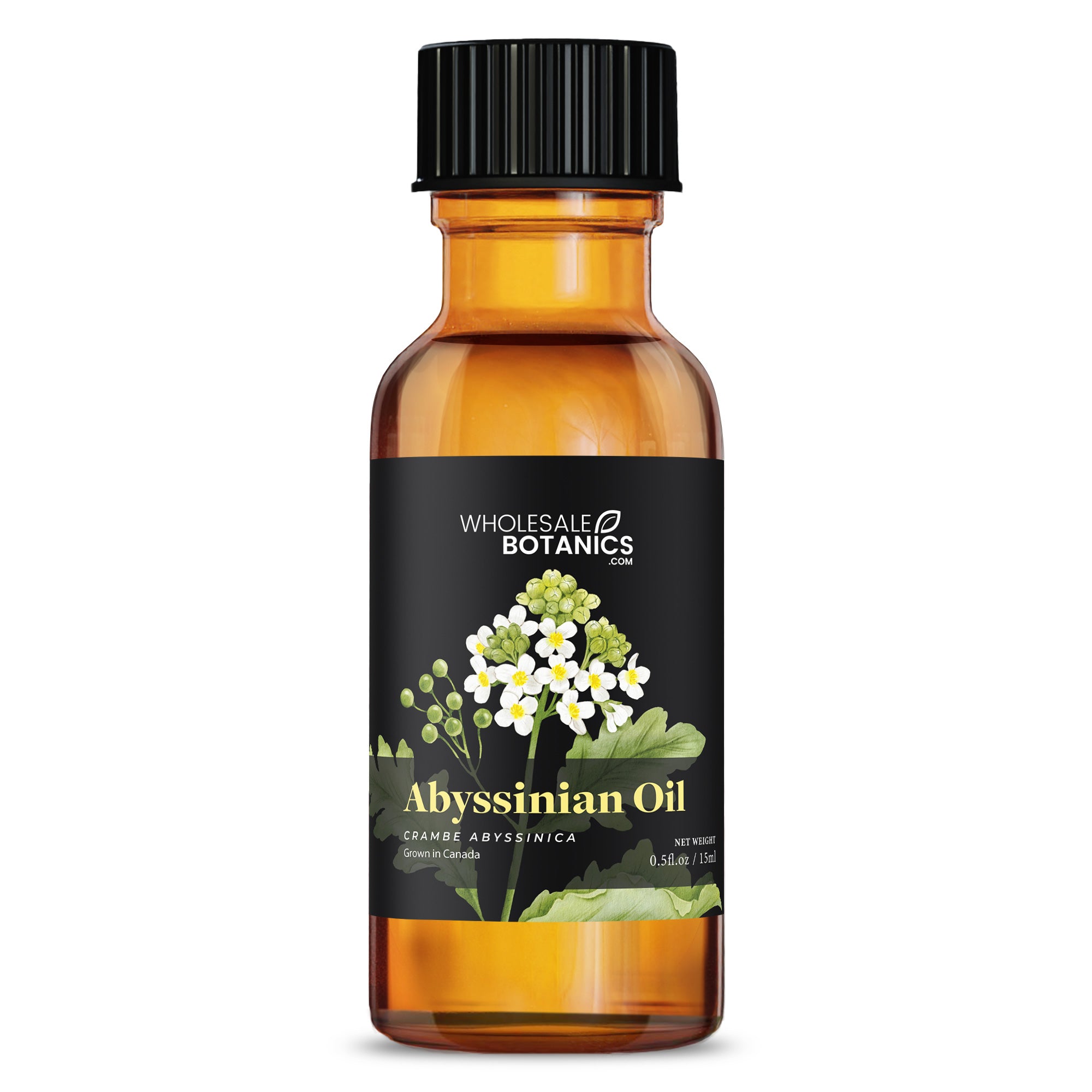 Abyssinian Oil