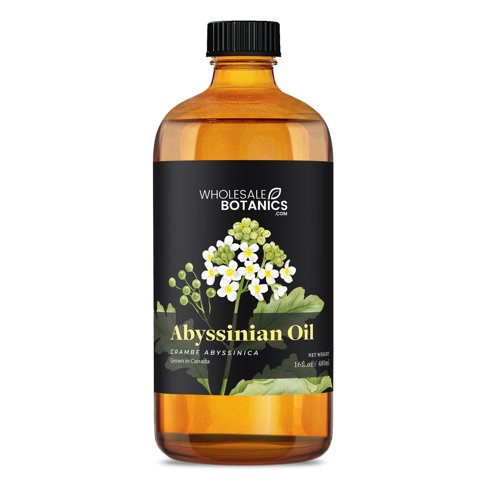 Abyssinian Oil