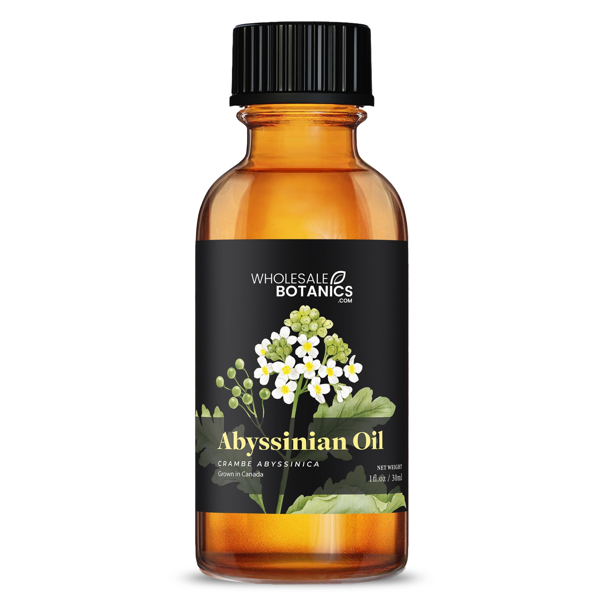 Abyssinian Oil