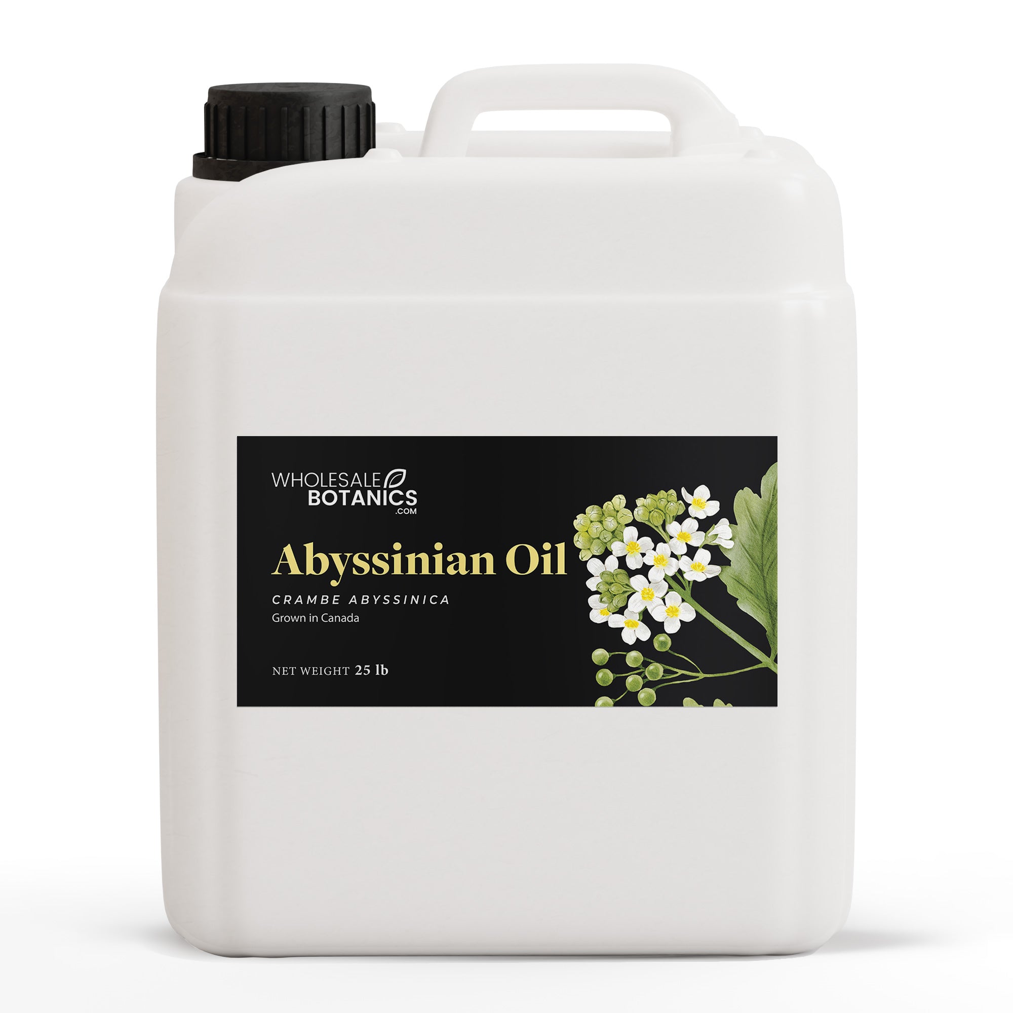 Abyssinian Oil