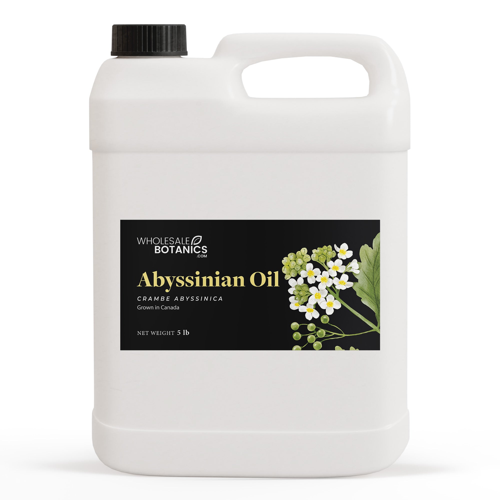 Abyssinian Oil