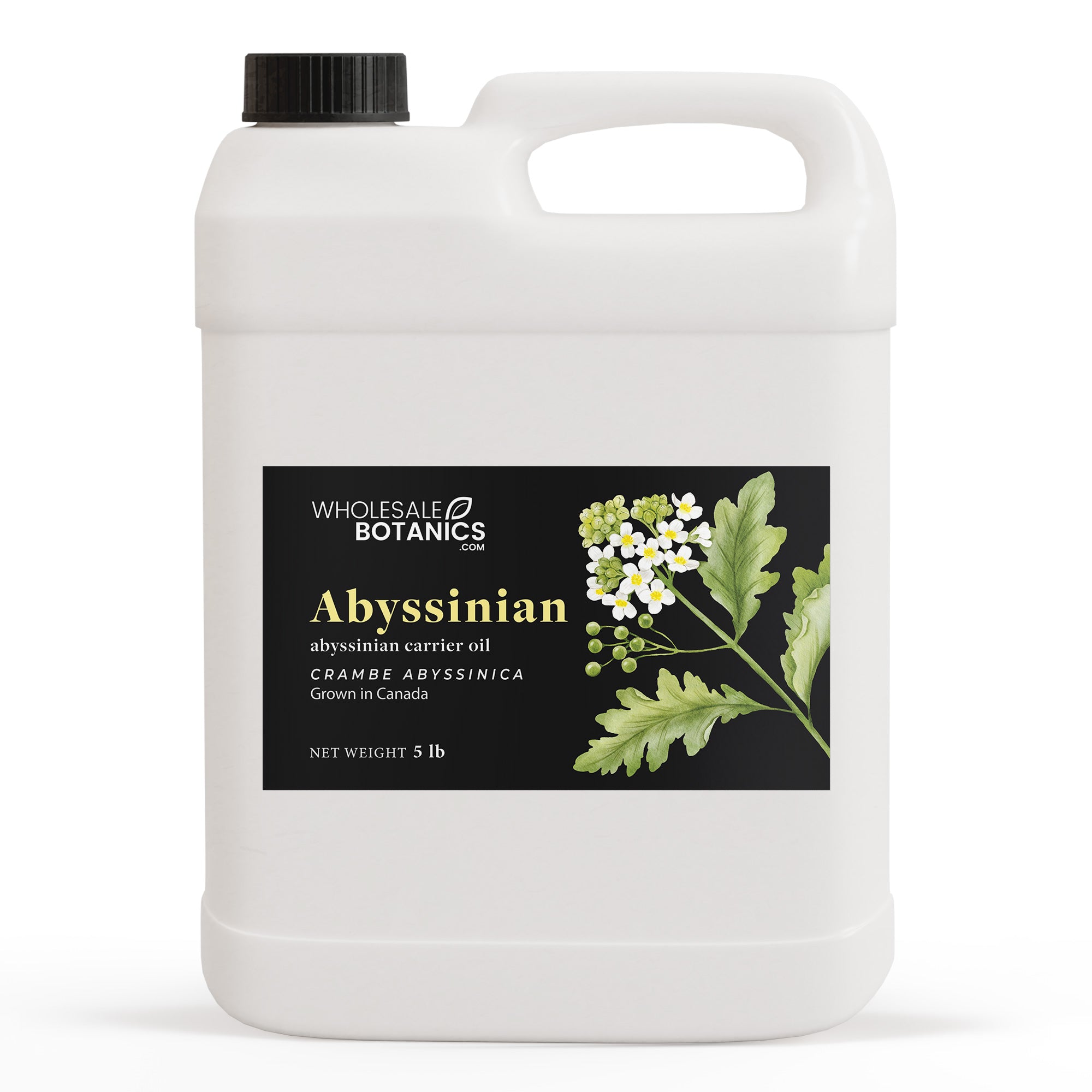 Abyssinian Oil